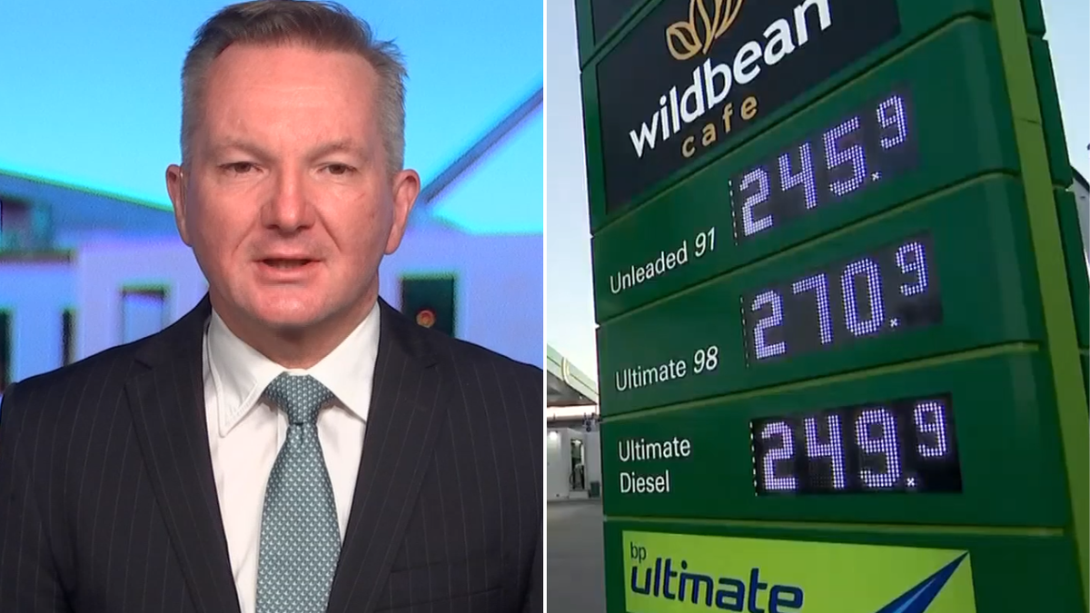 El ministro de Energía, Chris Bowen, no dijo cuándo bajarían