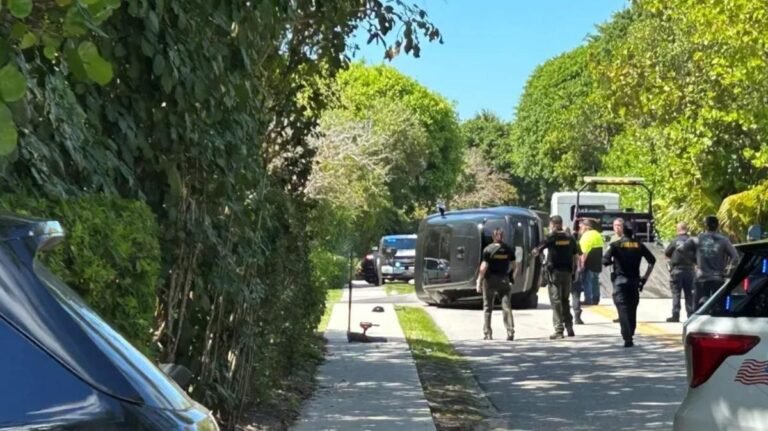 La leyenda del golf Tiger Woods estuvo involucrado en otro