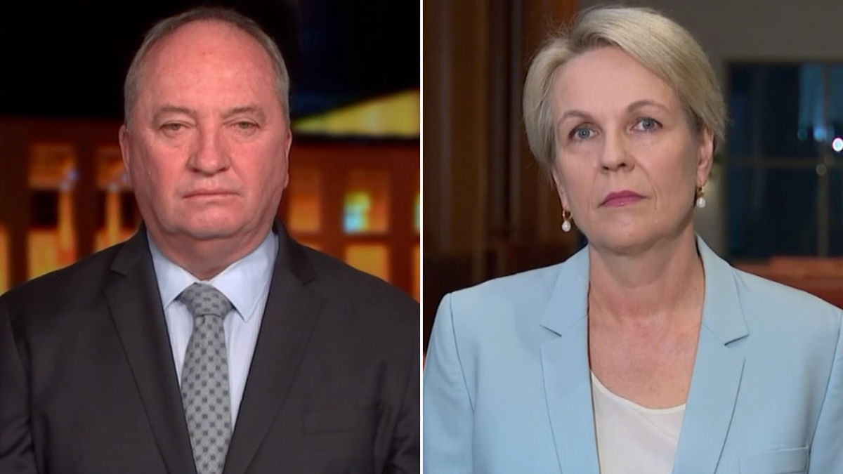 La ministra de Trabajo, Tanya Plibersek, defendió la respuesta a