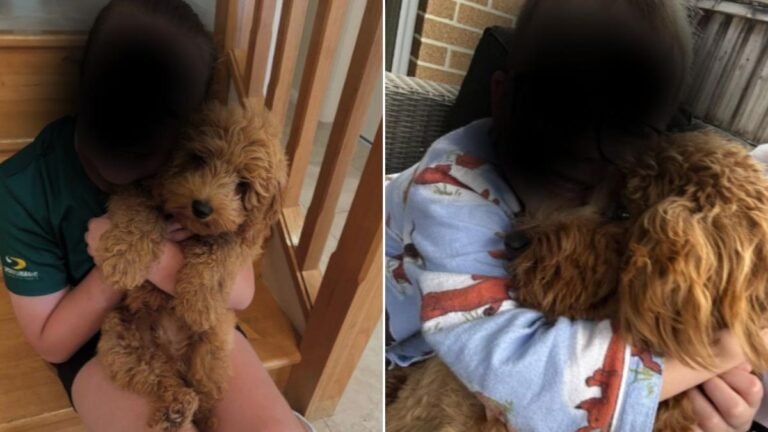 La tragedia deja a la familia de Nueva Gales del