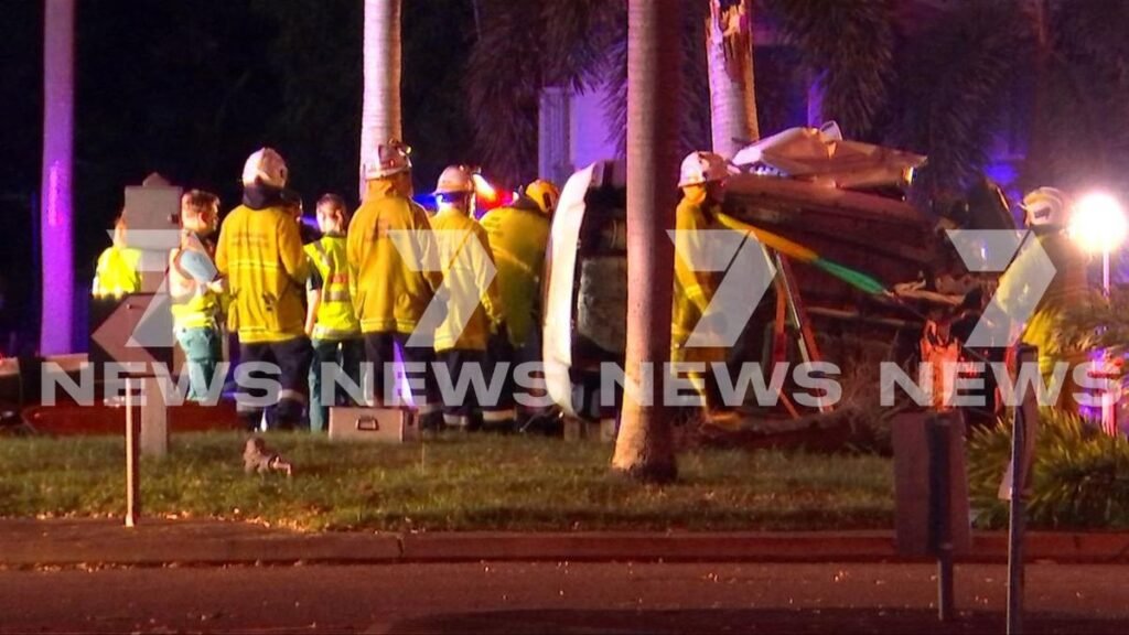 Townsville, hombre gravemente herido en accidente con palmera