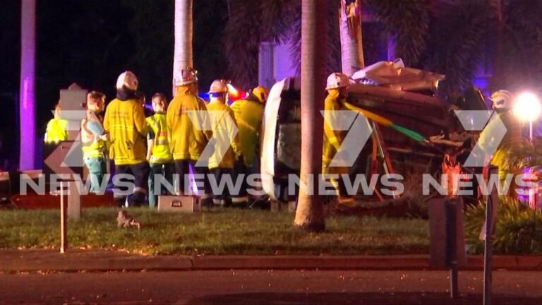 Townsville, hombre gravemente herido en accidente con palmera