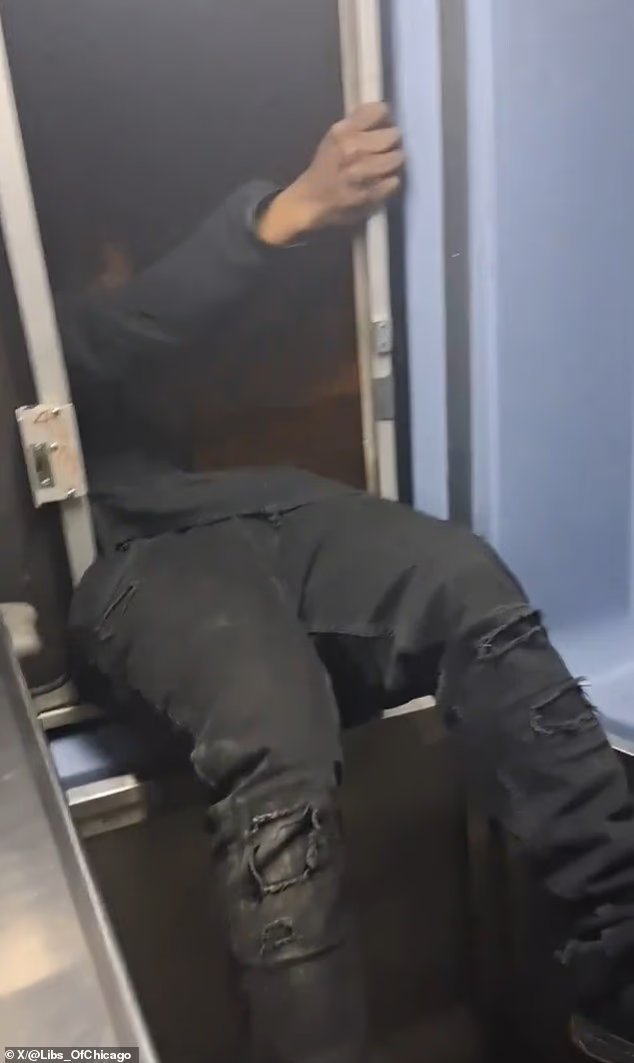 Un idiot de Chicago s'est filmé en train de rugir