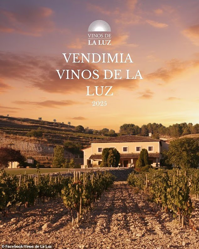 21 des meilleurs vignobles du monde dévoilés lors des Vine