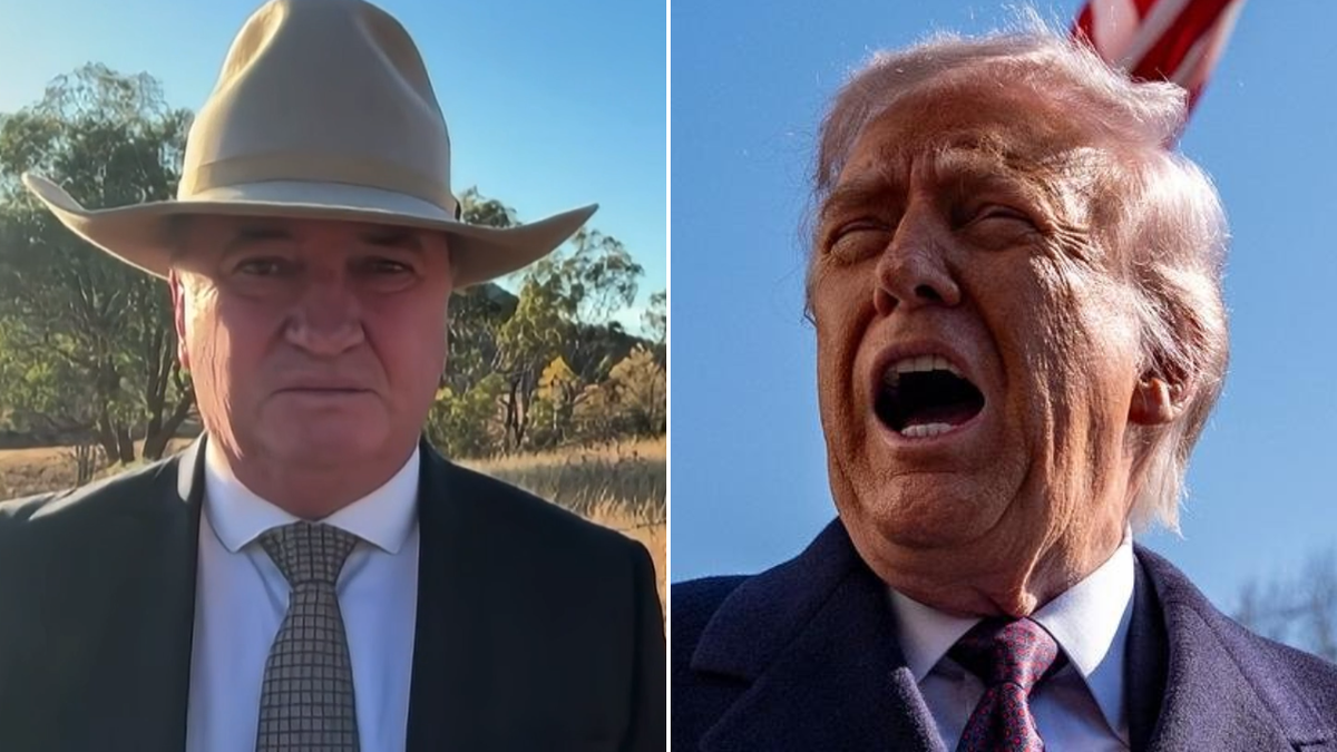 Barnaby Joyce dice que "no se gana nada" condenando a