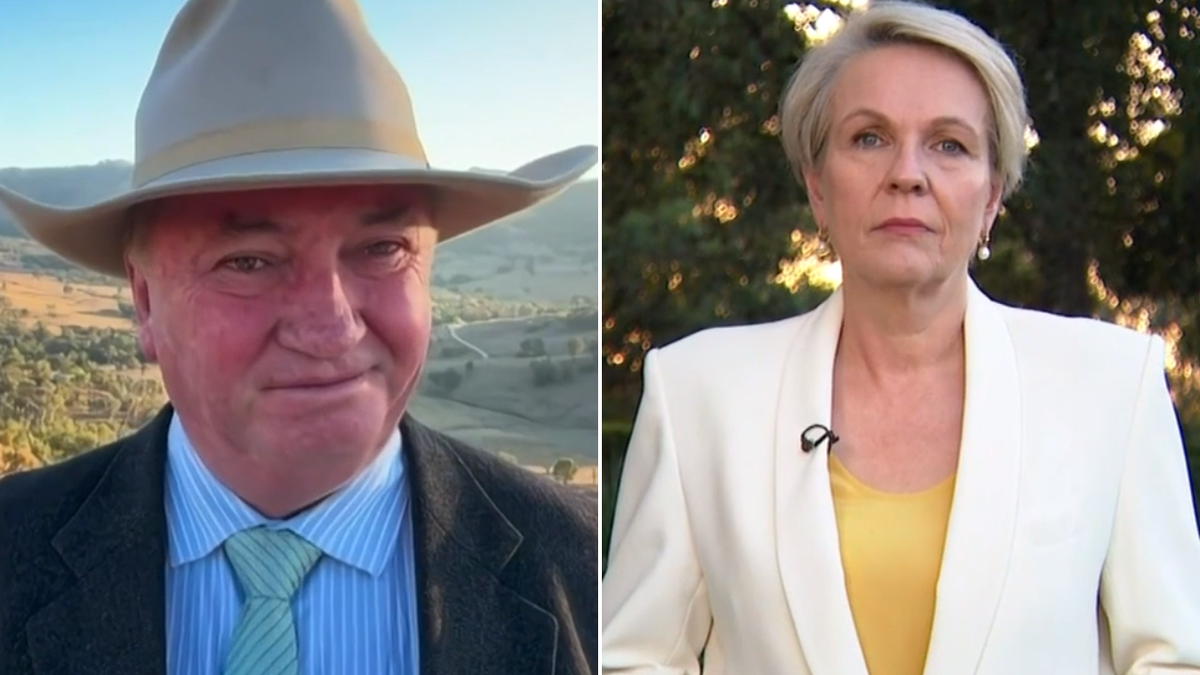 Barnaby Joyce y Tanya Plibersek se enfrentan por los rumores