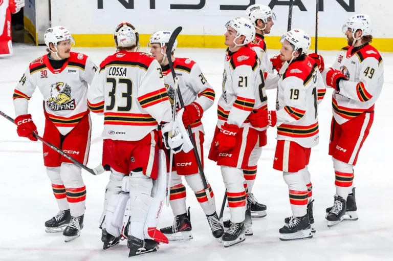 Bilan du hockey : l’équipe agricole des Wings affrontera Moose