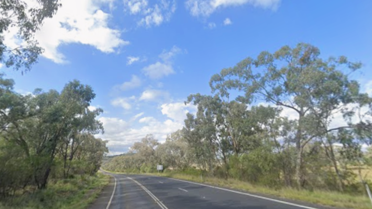 Cientos de ovejas mueren en una colisión de camiones en