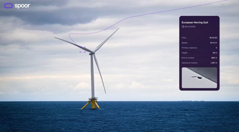 Cómo Spoor utiliza la IA para rastrear aves y mejorar
