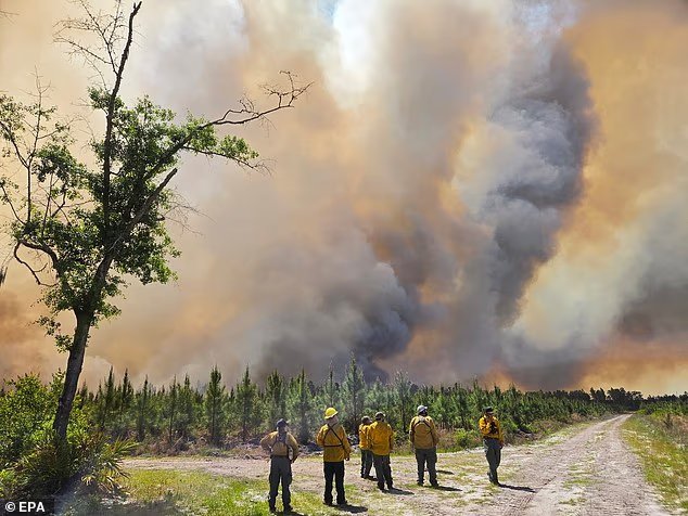 Des incendies de forêt ravagent la Floride et la Géorgie,