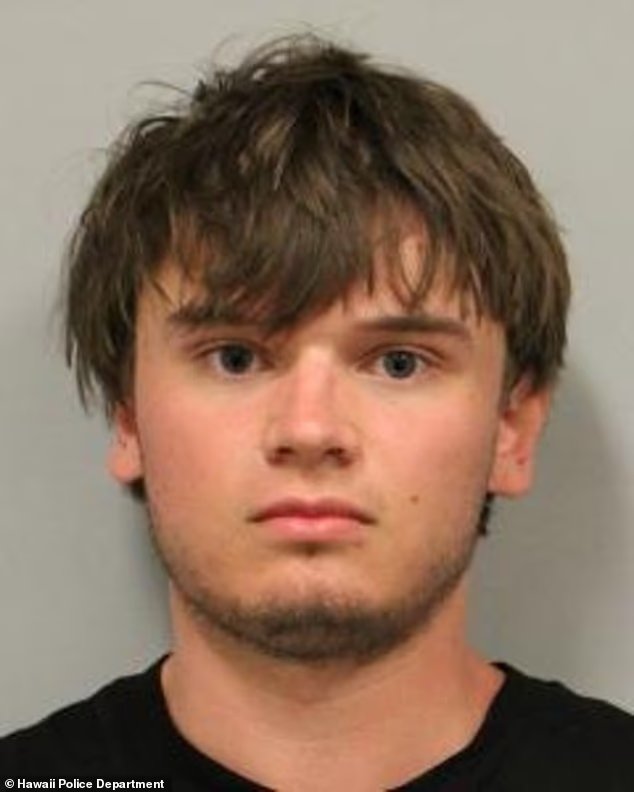 Des touristes plongeurs dans les eaux idylliques d'Hawaï crient de