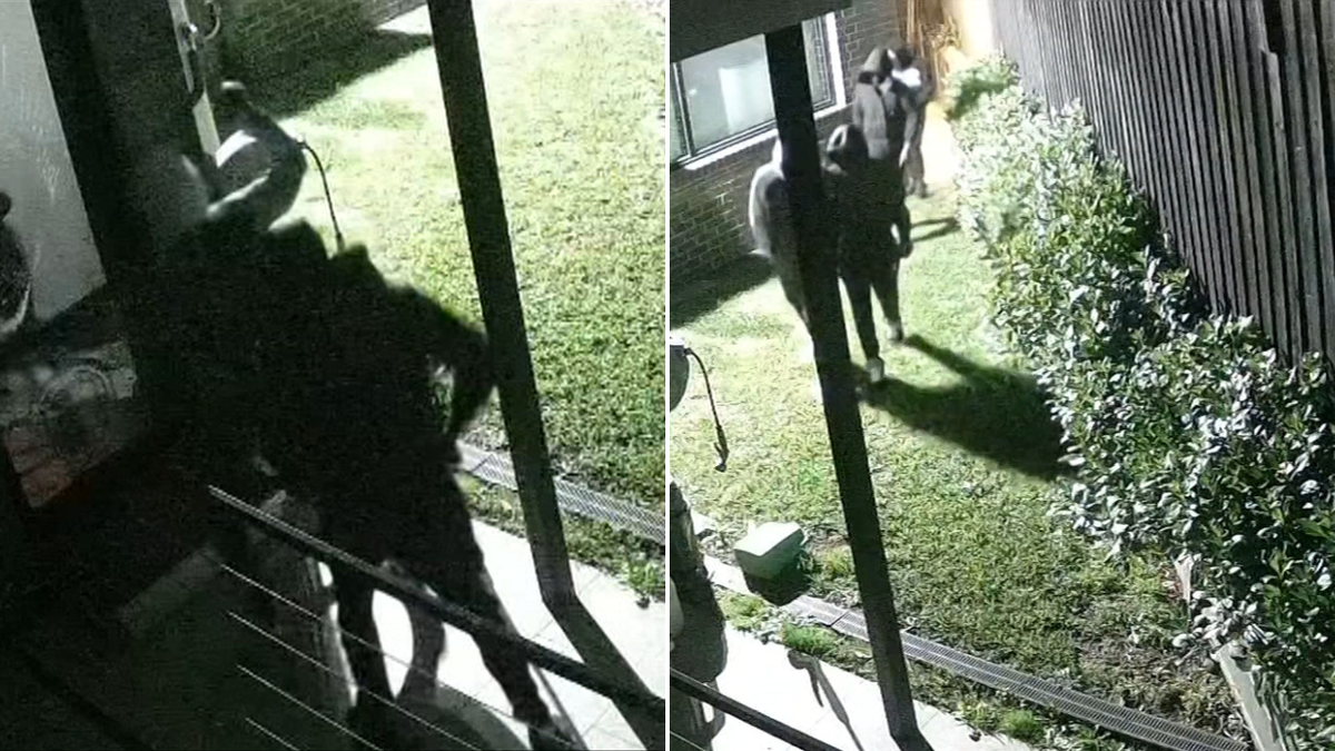 El padre protagonista lucha contra adolescentes con machetes y una