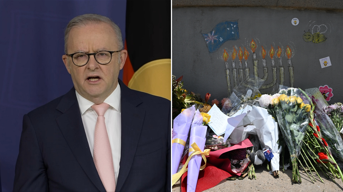 El primer ministro Anthony Albanese respalda las recomendaciones de la