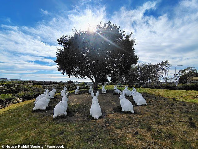 Elles ressemblent à des lapins inoffensifs, mais les statues de