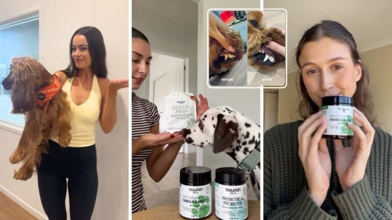 Este paquete dental viral para perros está cambiando la forma