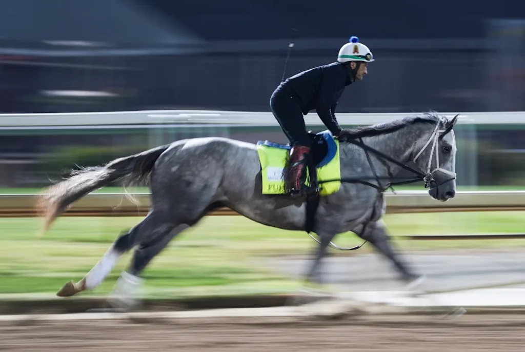 Fulleffort hors du Kentucky Derby 2026, Ocelli dans