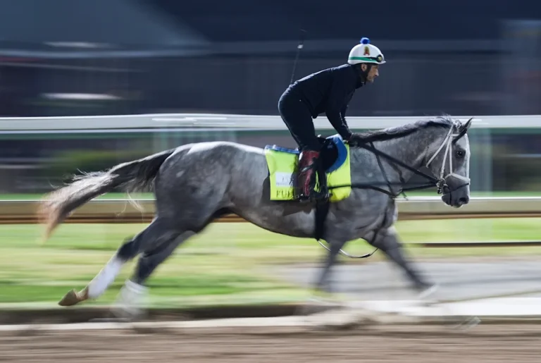 Fulleffort hors du Kentucky Derby 2026, Ocelli dans