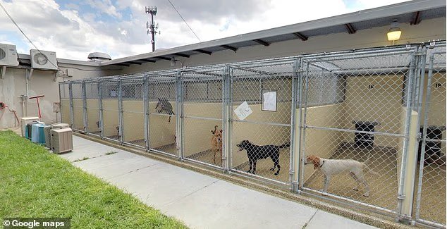 Indignation après qu'un refuge pour animaux de Floride prétende qu'il