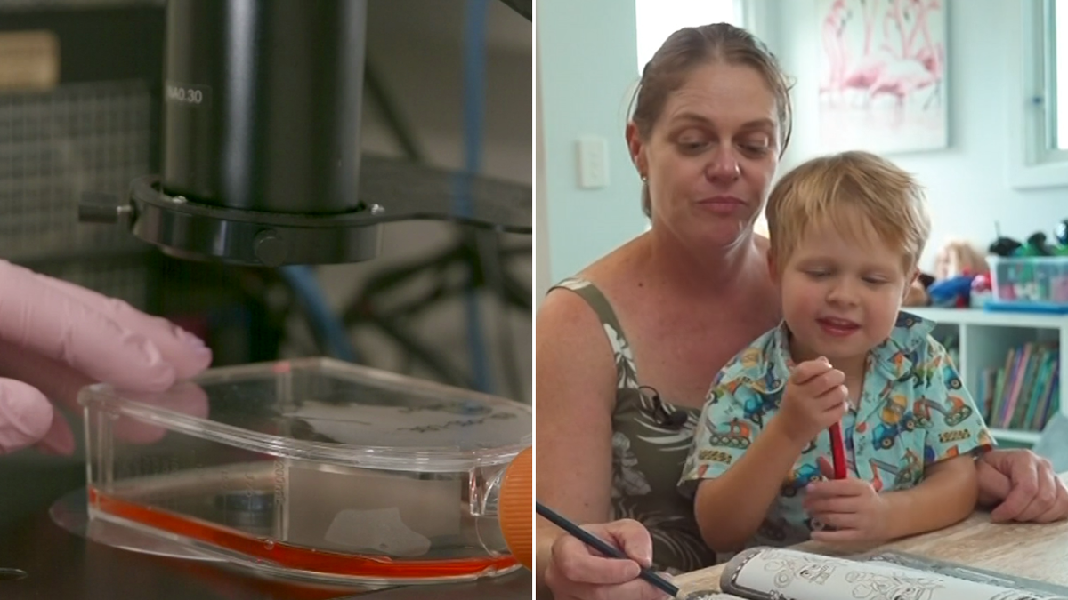 Investigadores australianos han logrado un gran avance en las pruebas