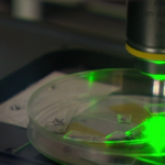 Investigadores de Melbourne han desarrollado el primer plástico del mundo