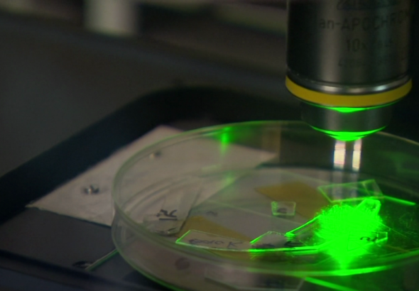 Investigadores de Melbourne han desarrollado el primer plástico del mundo