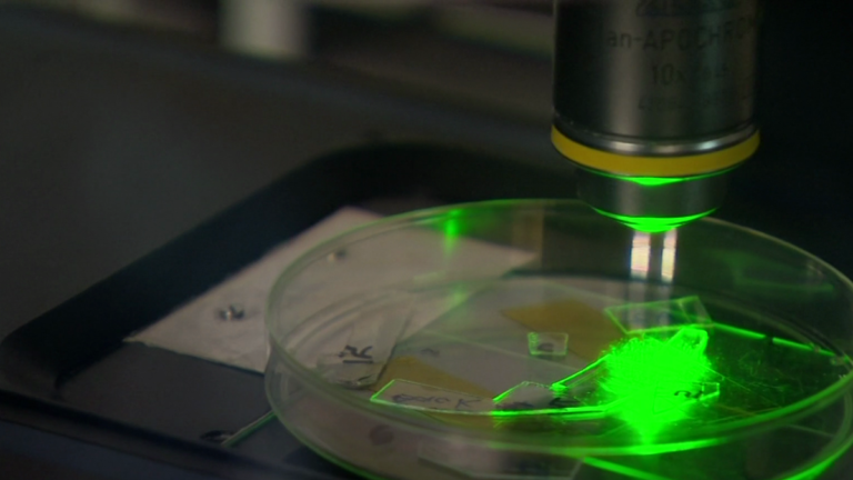 Investigadores de Melbourne han desarrollado el primer plástico del mundo