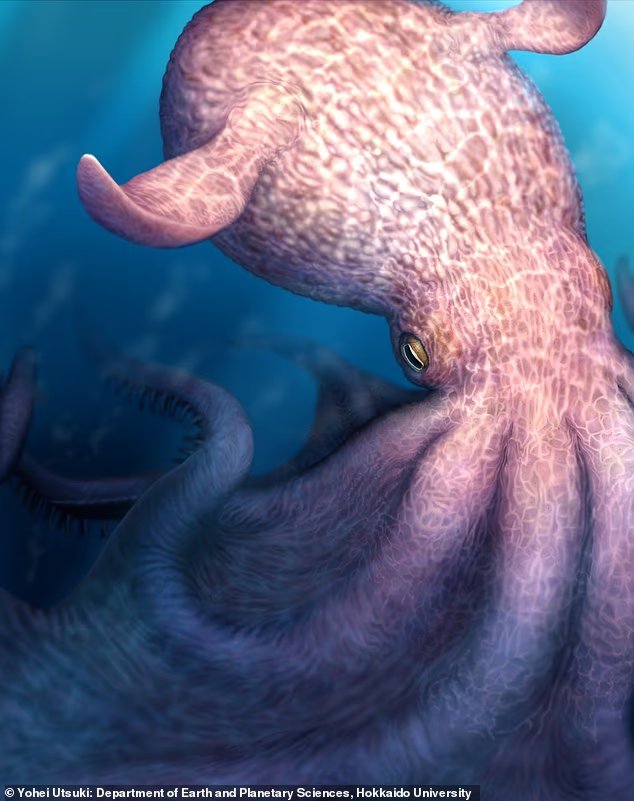 KRAKEN réel : des pieuvres géantes de la taille d'un cachalot