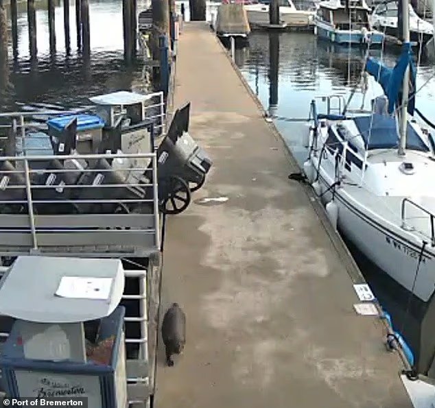 La famille reçoit un énorme paiement après qu'une fille de