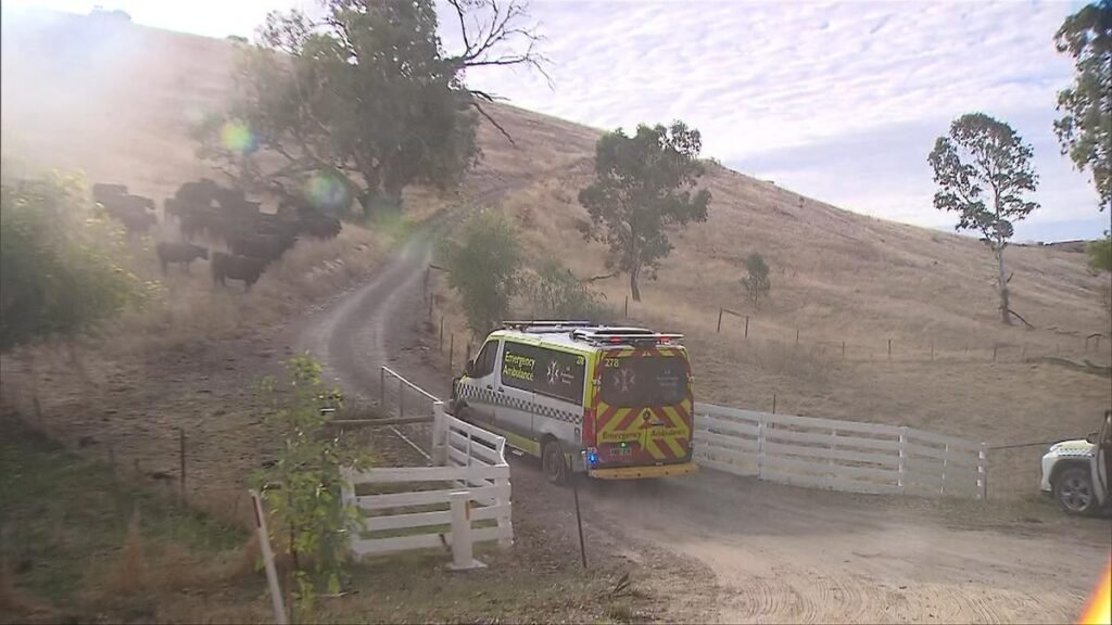 La niña murió en el hospital después de que el