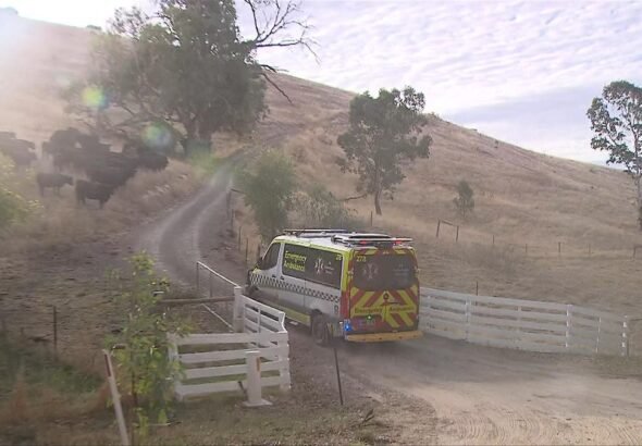 La niña murió en el hospital después de que el