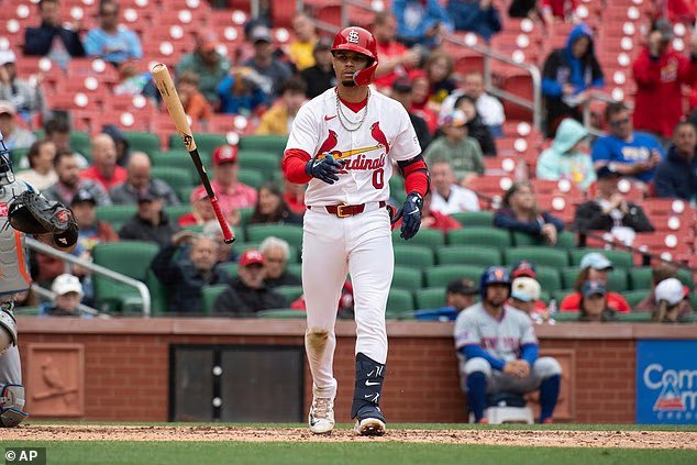 La star des Cardinals, Maseen Wynn, impliquée dans un terrifiant