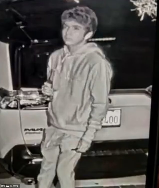 Le FBI perquisitionne le domicile d'un pyromane présumé (20 ans)