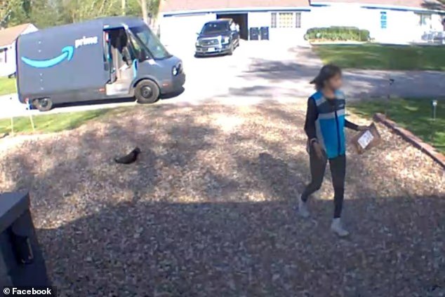 Le chat tigré préféré d'une famille connaît une fin terrible