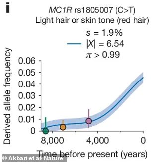 L'effet Ed Sheeran : le nombre de rousses à la