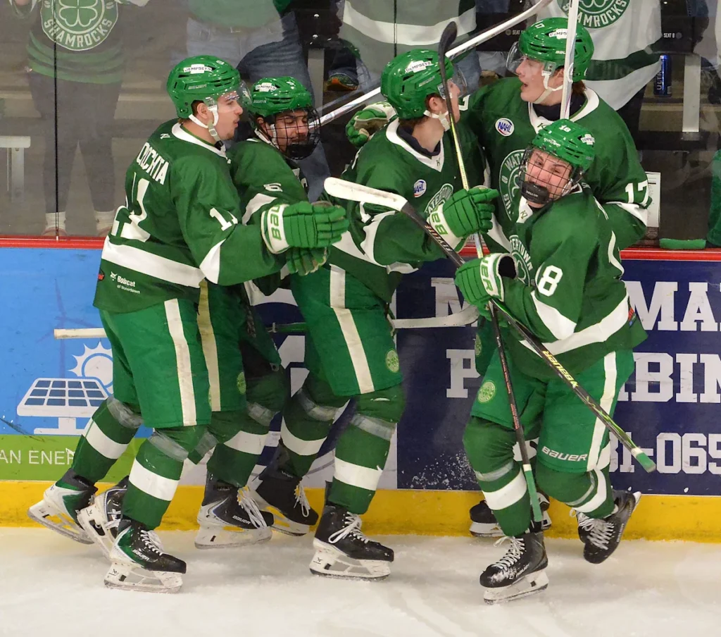 Les Aberdeen Wings poussent les Bismarck Bobcats au cinquième match