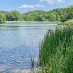 Les habitants furieux réagissent au projet de transformer leur paisible