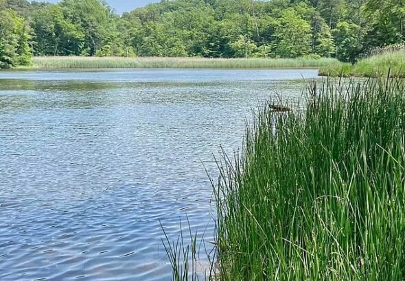 Les habitants furieux réagissent au projet de transformer leur paisible