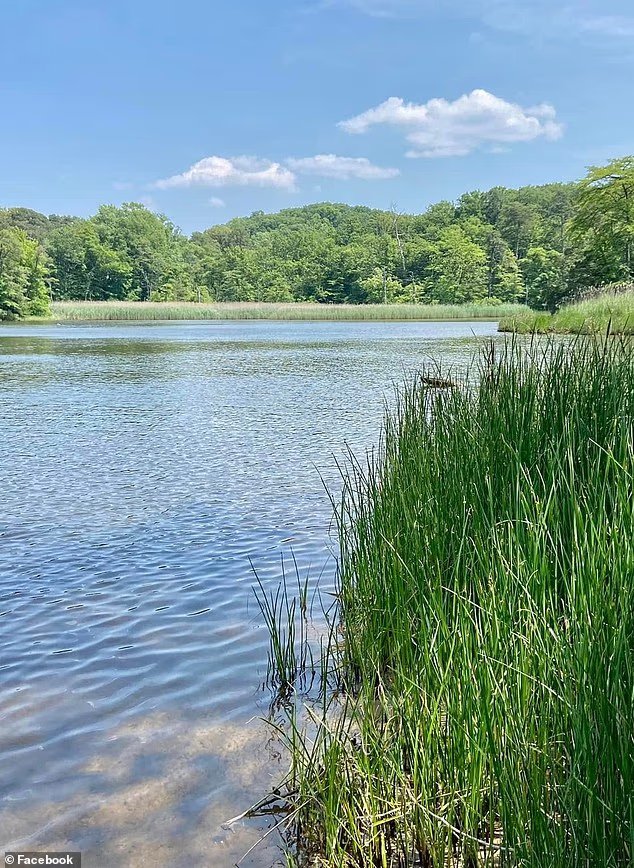 Les habitants furieux réagissent au projet de transformer leur paisible