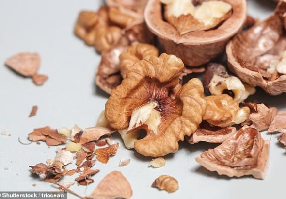 Les noix peuvent-elles vraiment être déclarées « les noix les