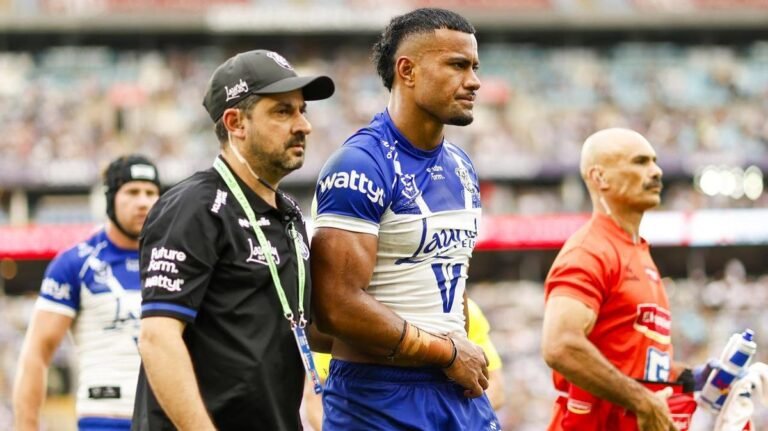 Los perros sufren una pesadilla aplastante Stephen Crichton: 'Tiempo de