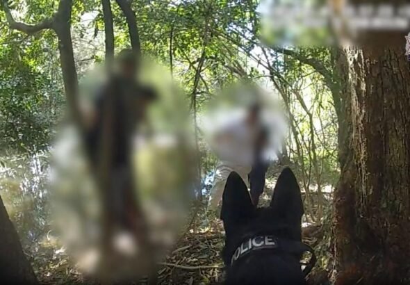 Los residentes quedaron conmocionados después de que cinco adolescentes fueran