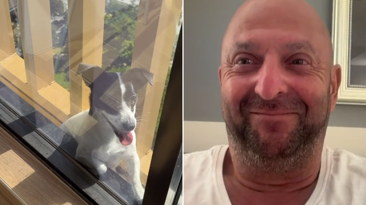 'Me volví loco': el propietario habla después de que el