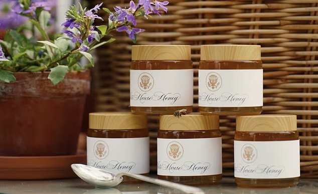 Melania adoucit le terrain de la Maison Blanche en ajoutant