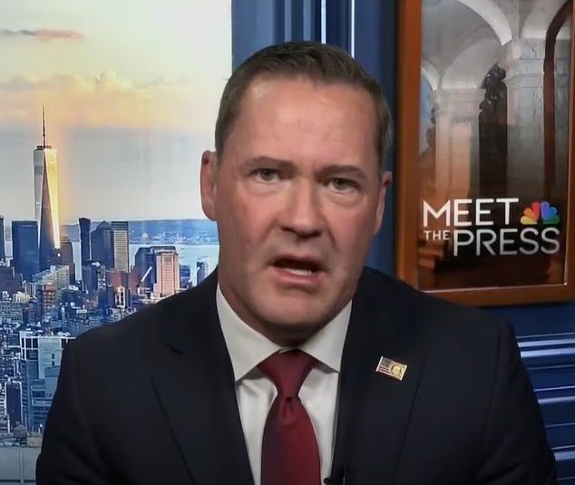 Mike Waltz défend l'attaque de Trump contre les ponts et