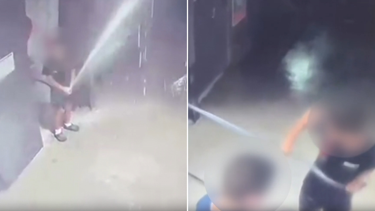 Millones en daños causados ​​por vándalos adolescentes de Sydney que