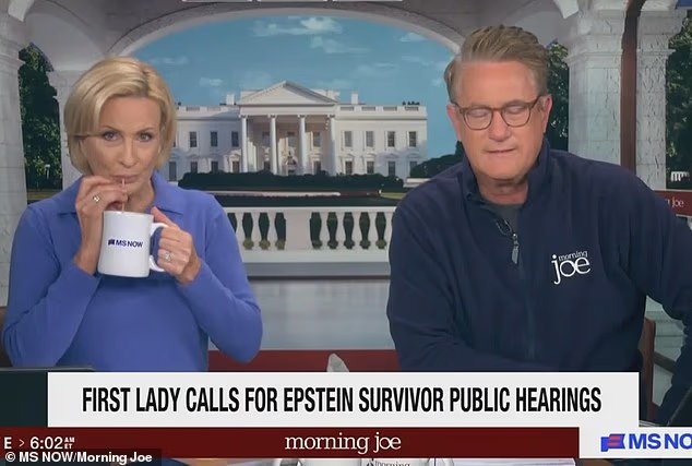 Morning Joe demande pourquoi Melania Trump a tenu une conférence