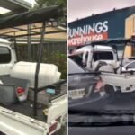 'Muérdeme': el hombre acusado de patear a un perro en