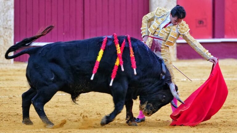 Muere el matador Ricardo Ortiz en vísperas de la corrida