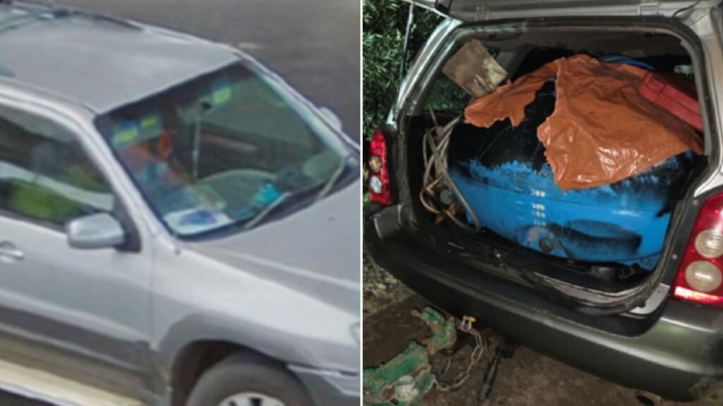 Placas clonadas, 12.000 dólares en combustible robado: un hombre de