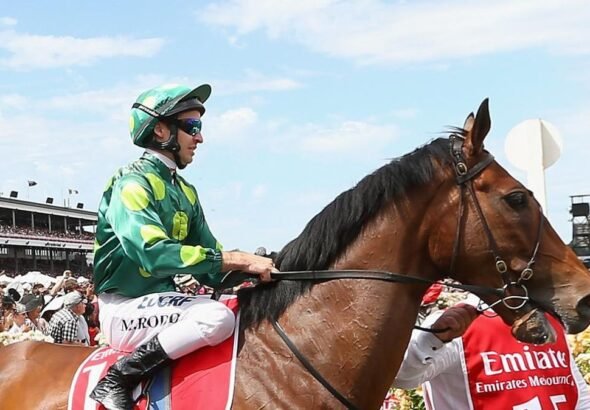 Precedence, campeón entrenado por Bart Cummings, lamenta su muerte a